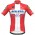Fahrradbekleidung Radsport 2020 DECEUNINCK QUICK-STEP Danish Champion Trikot Kurzarm Outlet