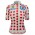 Bekleidung Damen Pois frau trikot Tour de France 2025 Fan Line